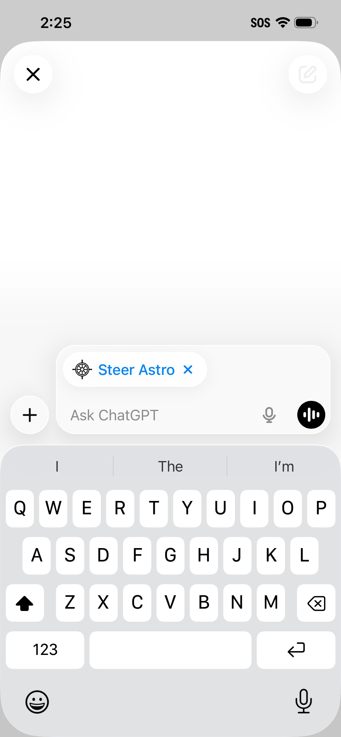 ChatGPT conversation showing the Steer Astro badge