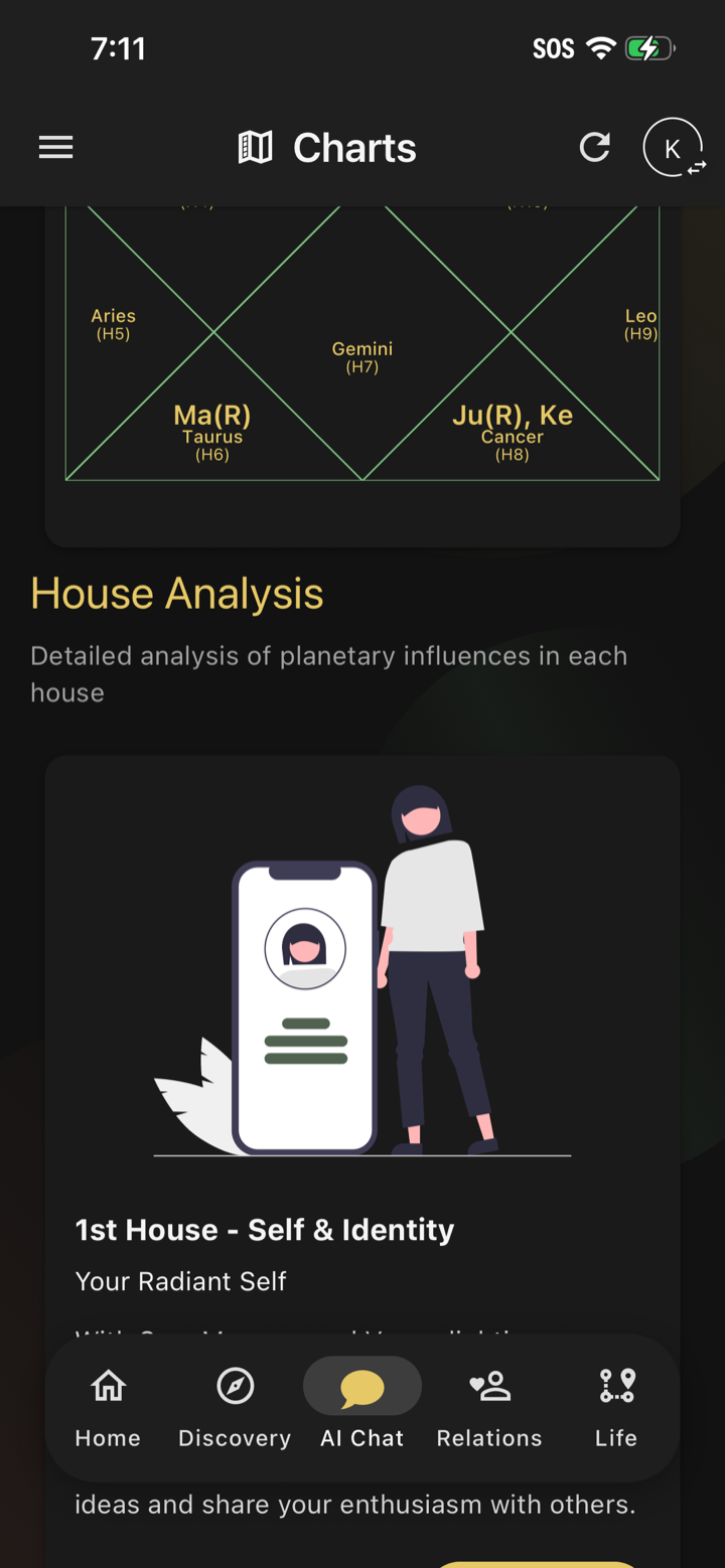 The Steer app showing a Vedic chart with house-by-house analysis