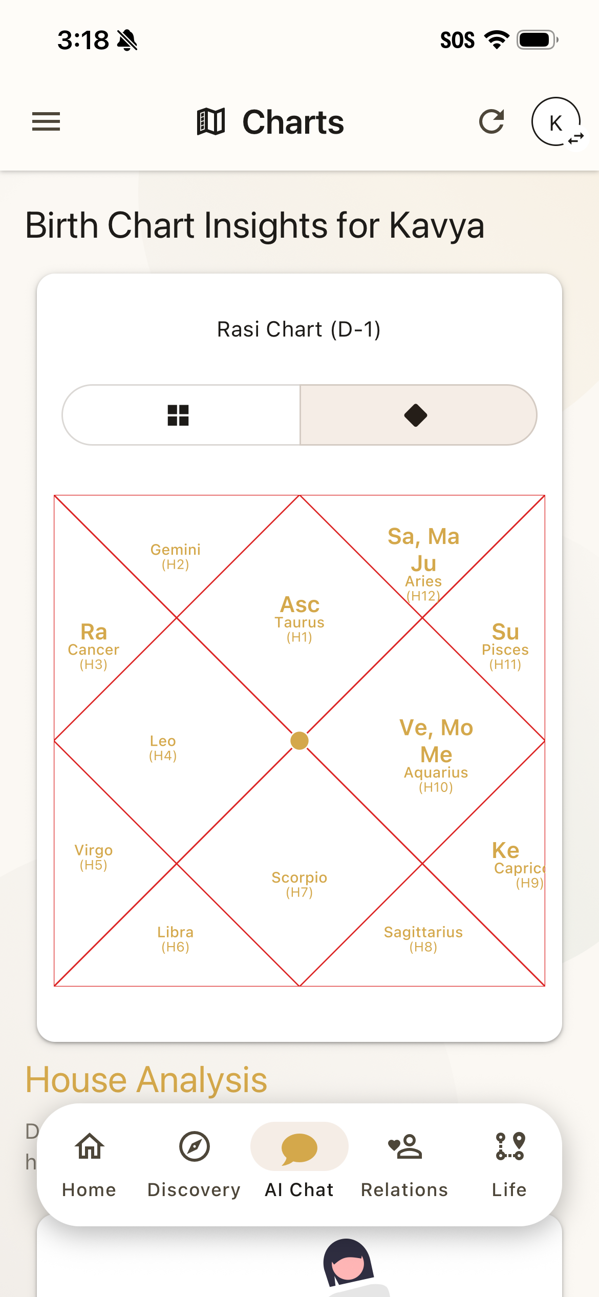 Steer birth chart visualization with house analysis